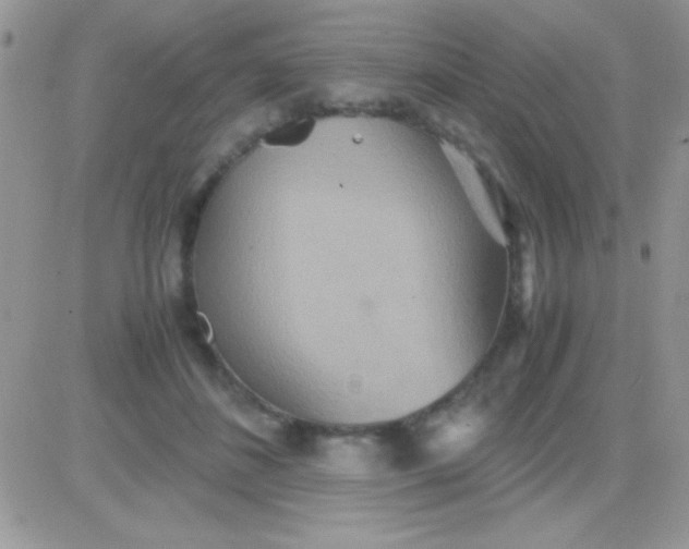 X0000081370508200701252017