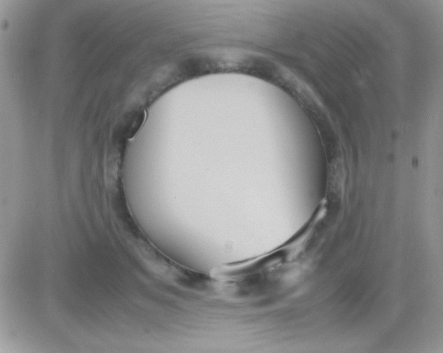 X0000081370509200701252017