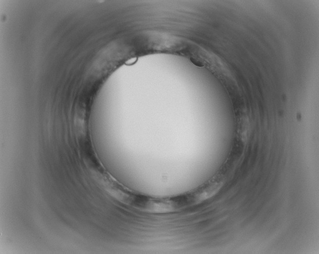 X0000081370510200701252017