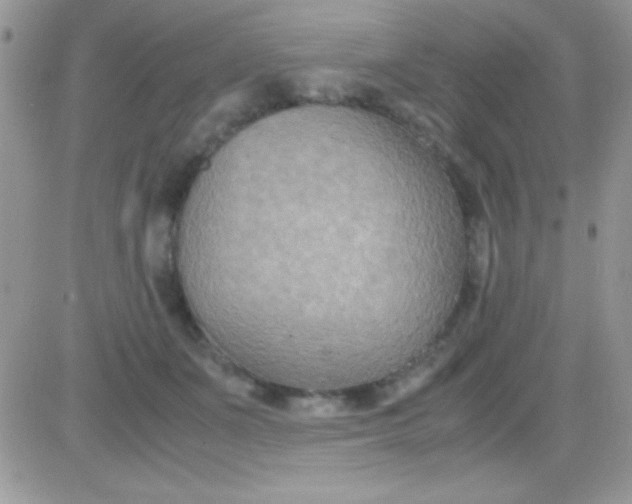 X0000081370511200701252017