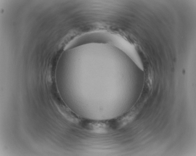 X0000081370512200701252017