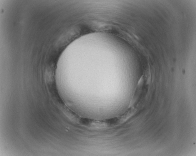 X0000081370515200701252017