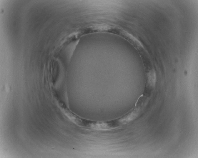 X0000081370517200701252017