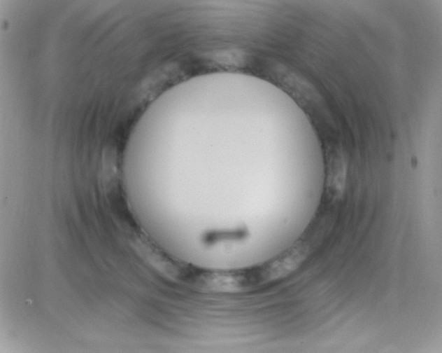 X0000081370518200701252017