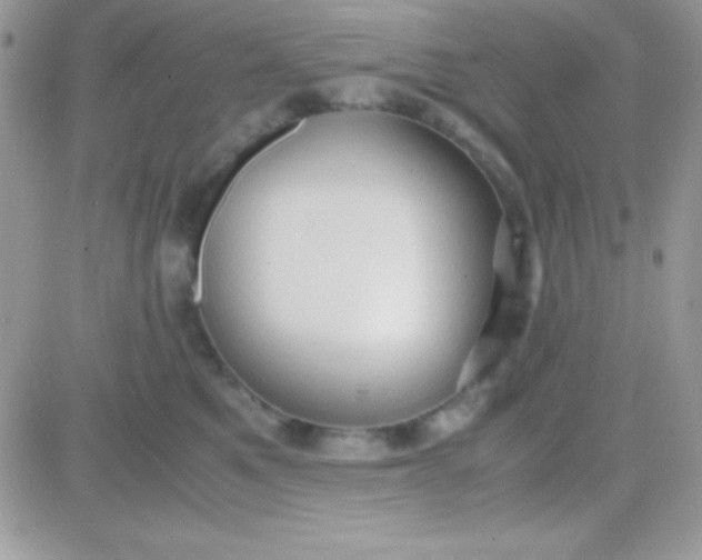 X0000081370521200701252017