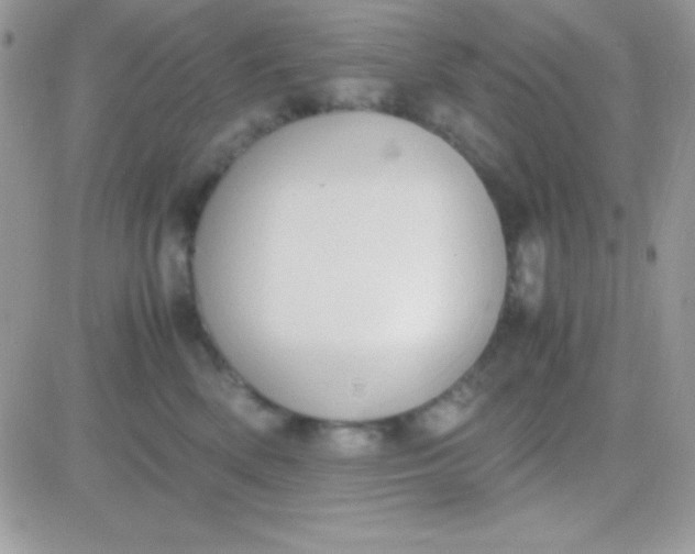 X0000081370522200701252017