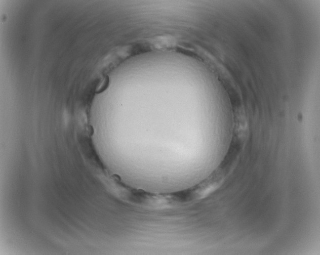 X0000081370523200701252017