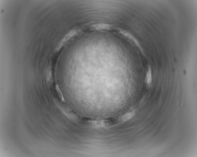 X0000081370524200701252017