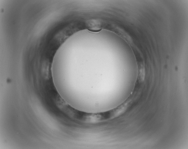 X0000081370525200701252017