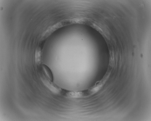 X0000081370526200701252017