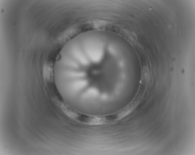 X0000081370527200701252017