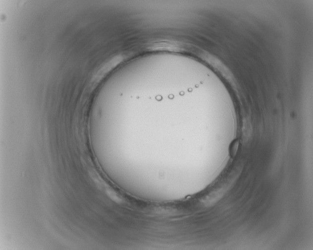 X0000081370529200701252016