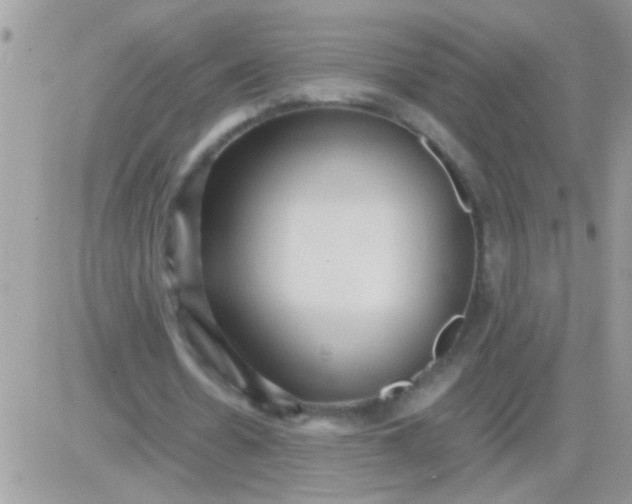 X0000081370530200701252016