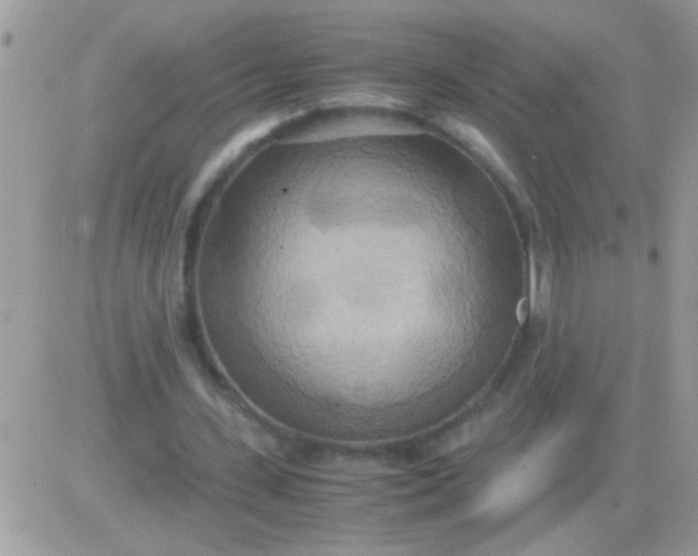 X0000081370531200701252016