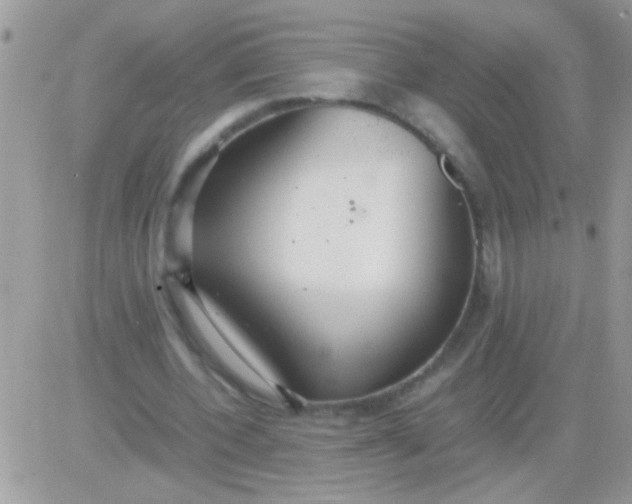 X0000081370532200701252016