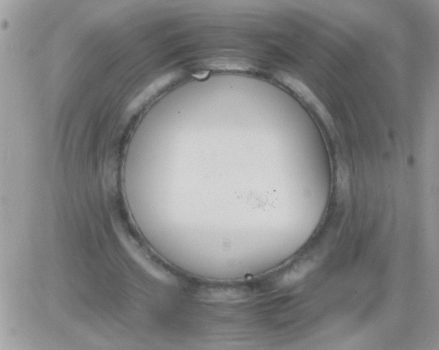 X0000081370533200701252016