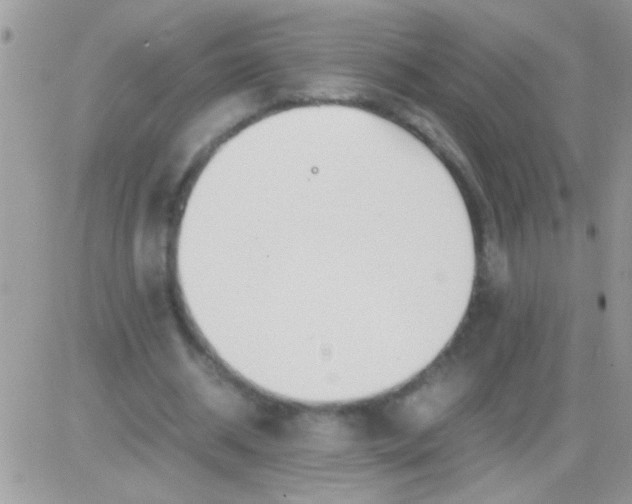 X0000081370534200701252016