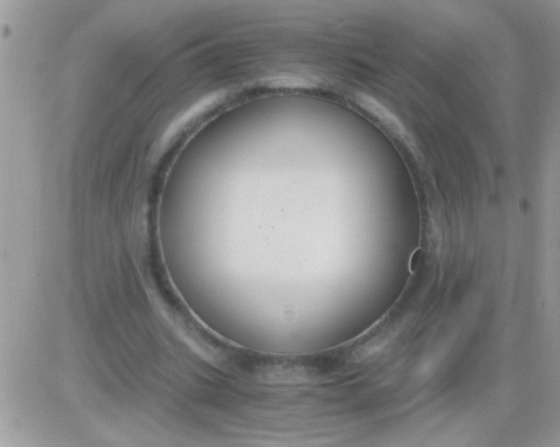 X0000081370535200701252016