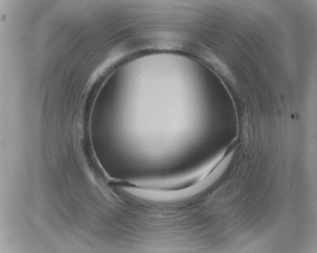 X0000081370536200701252016