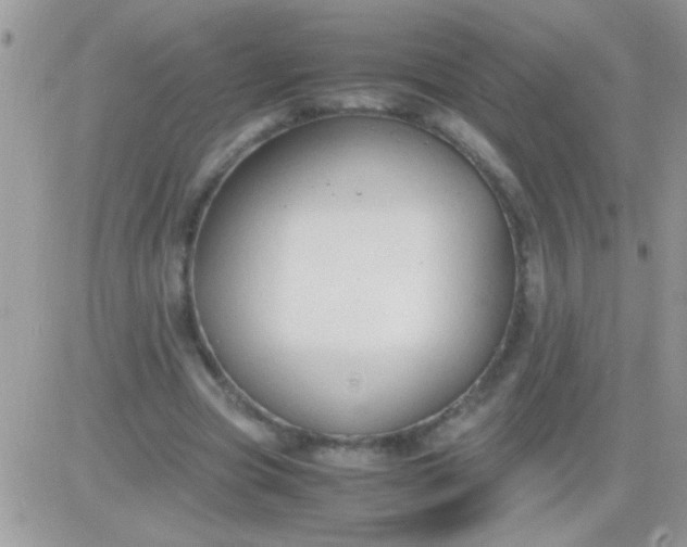 X0000081370537200701252016