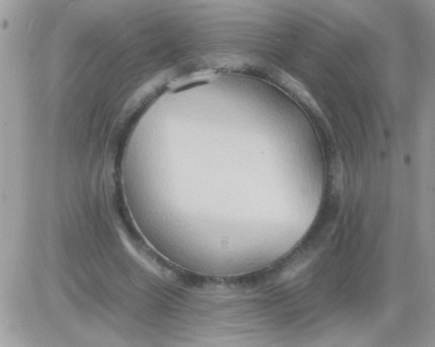 X0000081370538200701252016