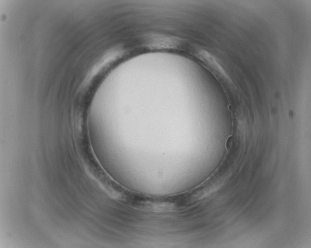 X0000081370539200701252016