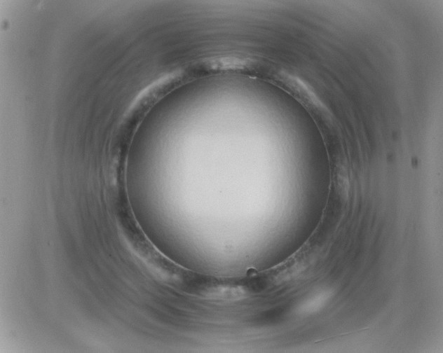 X0000081370543200701252017