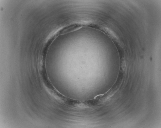 X0000081370544200701252017