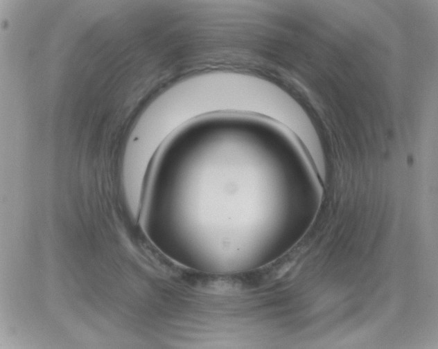 X0000081370546200701252017