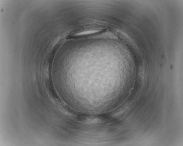 X0000081370547200701252017