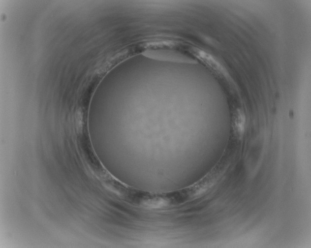 X0000081370551200701252017