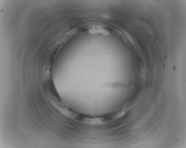 X0000081370553200701252017