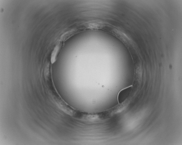 X0000081370554200701252017