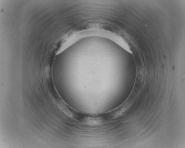 X0000081370556200701252017