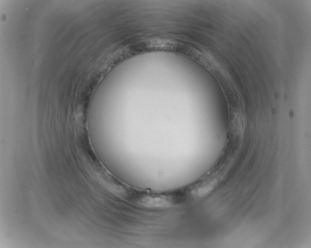 X0000081370557200701252017