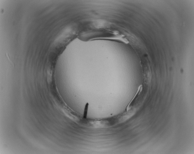 X0000081370558200701252017