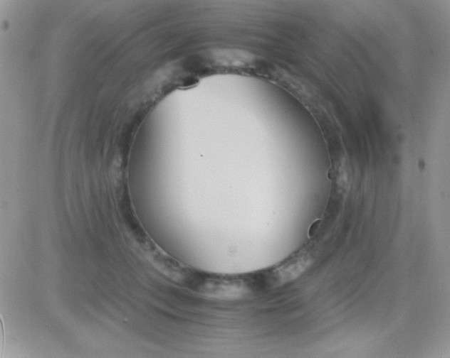 X0000081370559200701252017