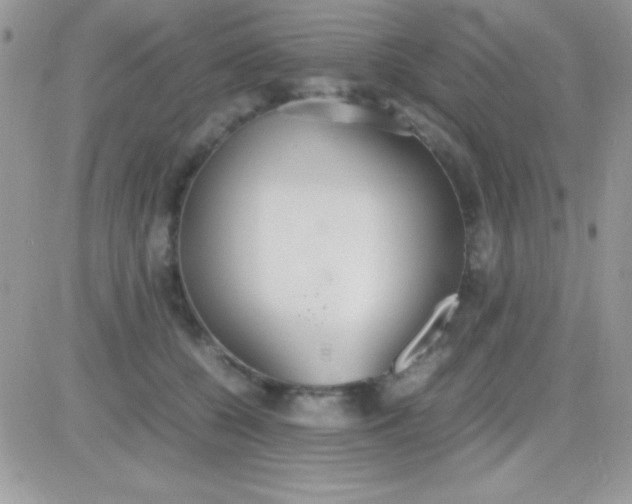 X0000081370560200701252017