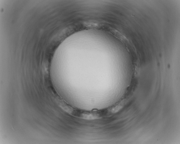 X0000081370561200701252017