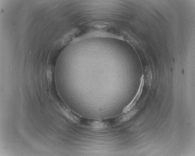 X0000081370562200701252017