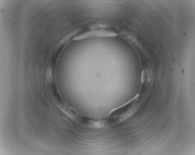 X0000081370564200701252017