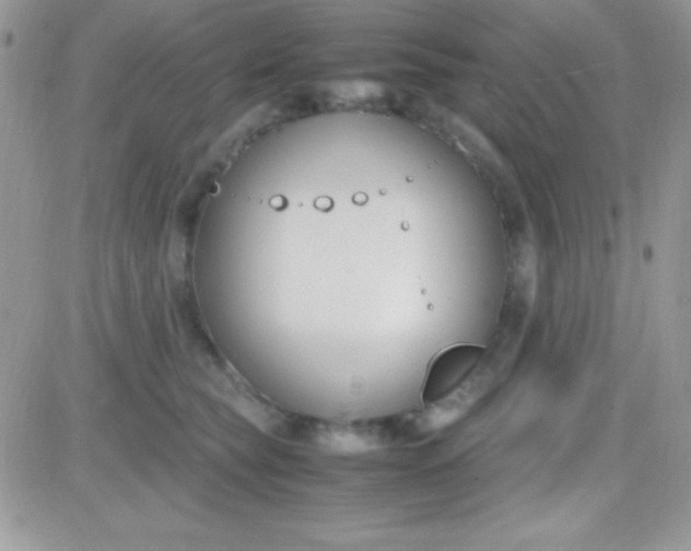 X0000081370565200701252017