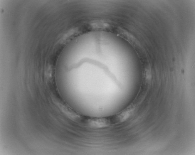 X0000081370567200701252017