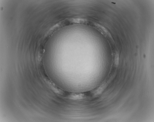 X0000081370569200701252017