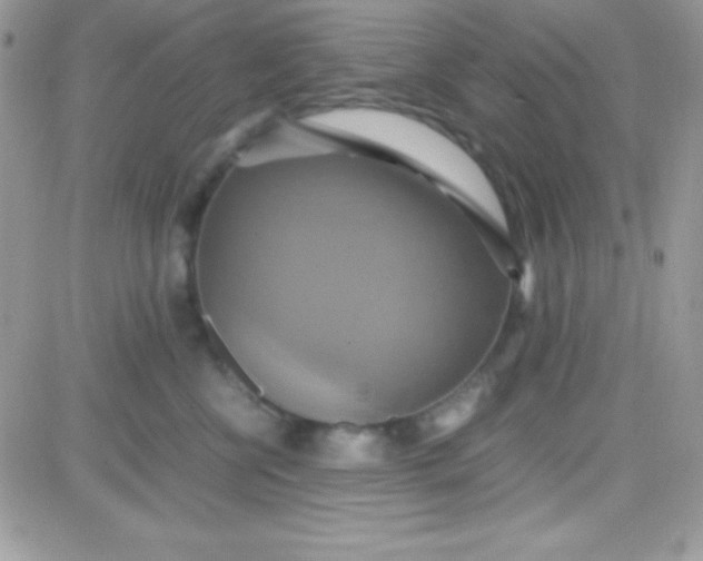 X0000081370570200701252017