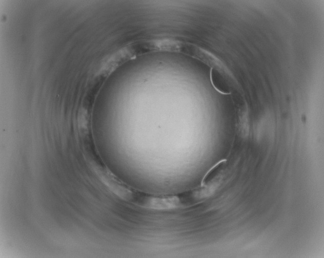 X0000081370571200701252017