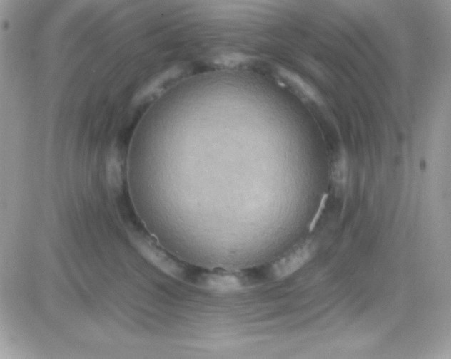 X0000081370572200701252017