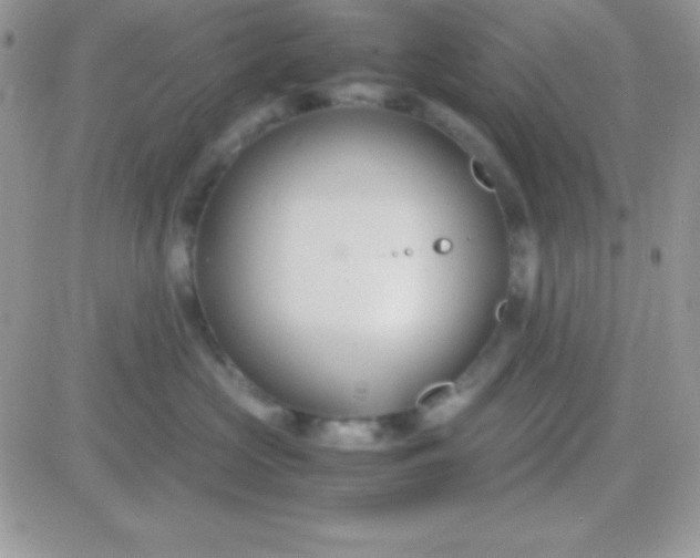 X0000081370573200701252017