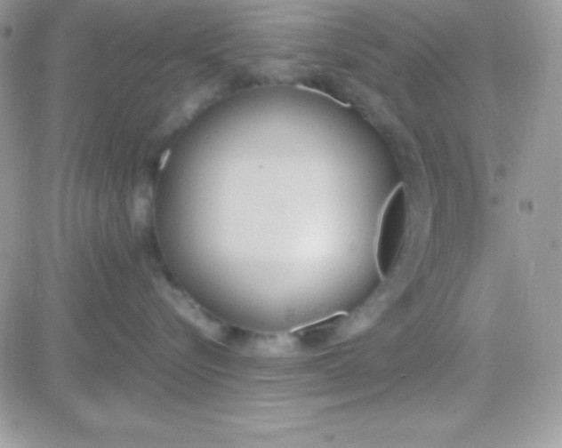 X0000081370576200701252017