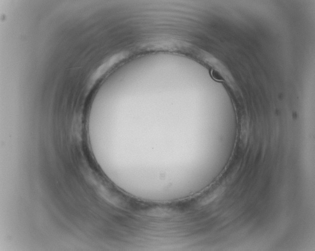 X0000081370578200701252016